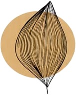 a drawing of a flower with a circle in the background.jpg